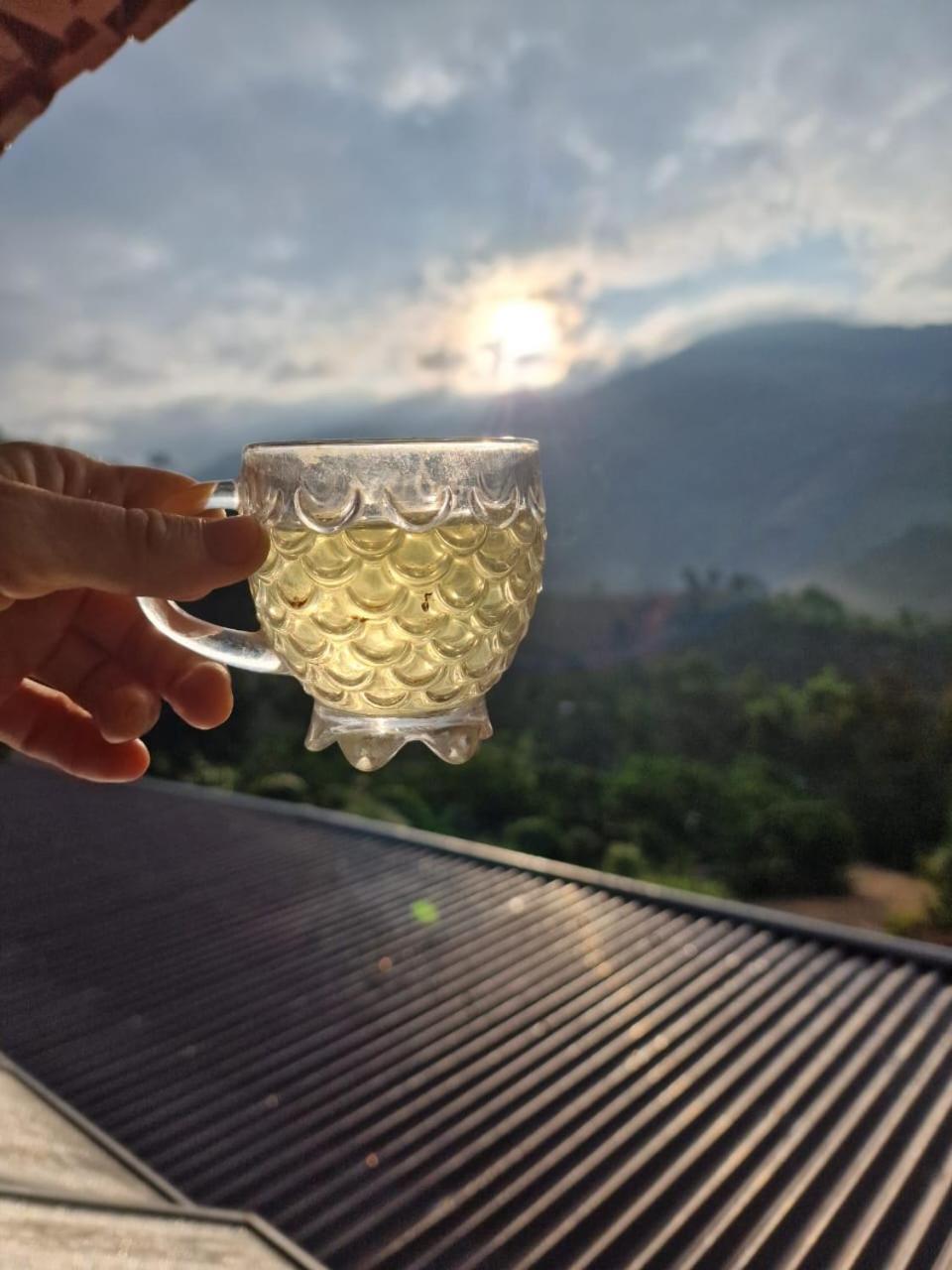 Bed and Breakfast Farm Co Chu Tuan Ha Dalat Exteriér fotografie