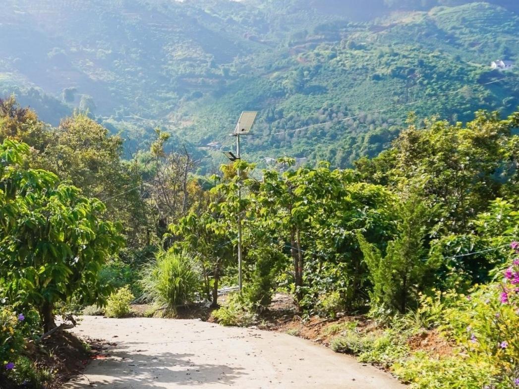 Bed and Breakfast Farm Co Chu Tuan Ha Dalat Exteriér fotografie