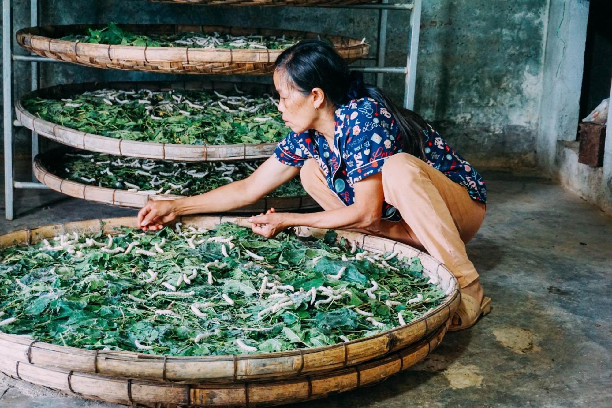 Bed and Breakfast Farm Co Chu Tuan Ha Dalat Exteriér fotografie